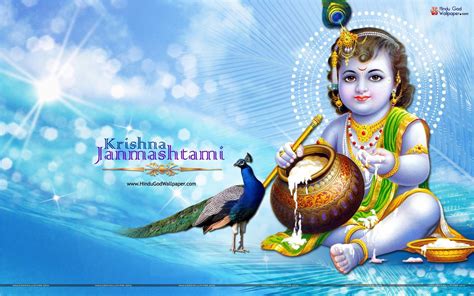 On Krishna Janmashtami, devotees observe a day-long fast, worship Bal Krishna during midnight, visit Krishna temple, cook sweet dishes specially made of milk products, clean their homes and more.. 