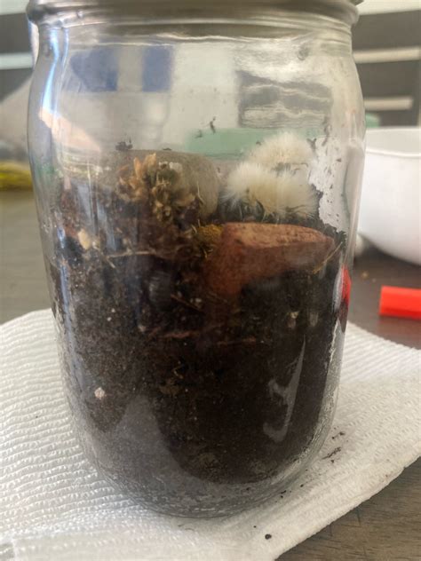 🍌 Krispy Kris Onlyfans Leaked (SEX) 193 Videos