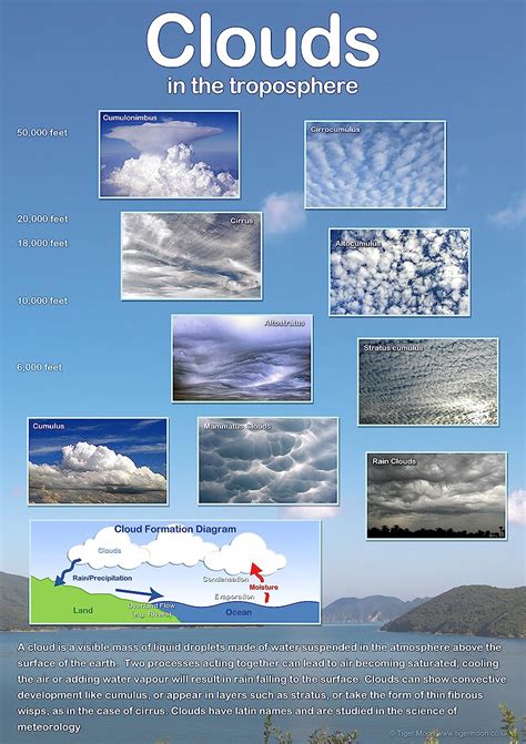 Kristen's Classroom: Types of clouds