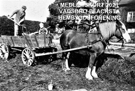 Krönikebok för blacksta och vadsbro 1868 1921. - Sociologia de empresa : mudanca e conflito.