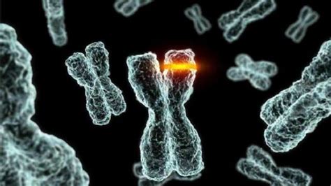 Kromozom bozukluğunu genetik testlerle teşhis etmek mümkün