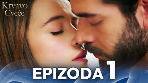 Krvavo cvece 395. .  <a href=https://reohome-api.dev.cierra.dev/assets/im...