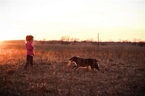 Ktd australian shepherds.  All About Aussies (revised) now available.  Find h...