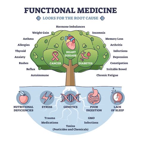 What is Functional Medicine? As a catalyst in the transformation of healthcare, functional medicine takes a comprehensive, whole health approach to prevention, health, and well …. 