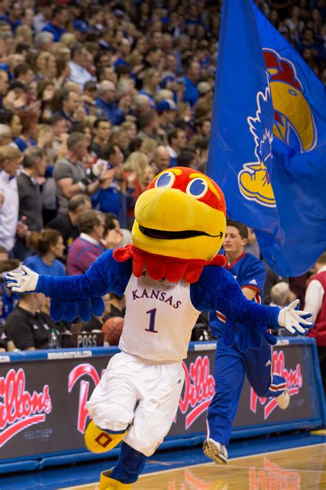 Amid the ongoing COVID-19 pandemic, the tryout process for 2021-22 will once again be conduction via Virtual Tryouts to ensure the health and safety of all candidates pursuing positions with the University of Kansas Spirit Squad. Below are the updated changes to the overall KU Cheer Coed and All-girl Cheer process along with the Rock Chalk ...