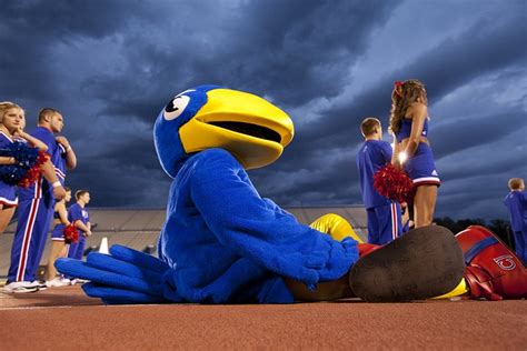 For the past ten years I've had the pleasure of directing KU's annual Traditions Night, welcoming students back to campus after the summer break. This event, held at Memorial Stadium, marks the starting point of every student's journey as a Jayhawk. As the first major event for incoming freshmen, imagine an evening filled with energy. 