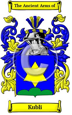 Kubli History, Family Crest & Coats of Arms - HouseOfNames