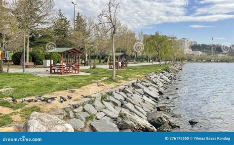 Kucukcekmece Halı ve Koltuk Yıkama