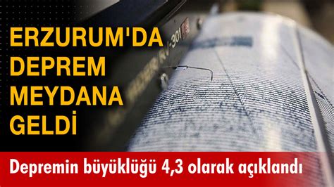 Kucukgecit Halı ve Koltuk Yıkama