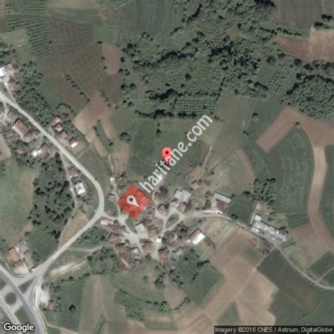 Kucukhatapli Halı ve Koltuk Yıkama