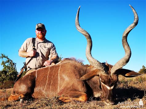 Kudu Hunt Price