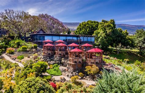 Kula lodge haleakala. Delivery & Pickup Options - 964 reviews of Kula Lodge & Restaurant "Kula Lodge is on the way up Haleakala mountain. The weather is often cooler up here and its high enough … 
