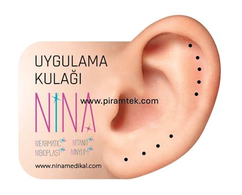 veodersti.rgarabwor.edu.pl. 