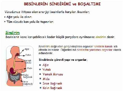 Kullanımı, sindirim ve boşaltım sisteminde yavaşlamaya sebep olduğu için bağırsak enfeksiyonunuz varsa dikkatli olunuz.