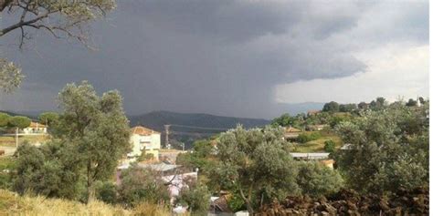 Kulogullar Halı ve Koltuk Yıkama