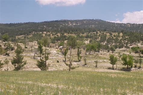 Kumacukuru Halı ve Koltuk Yıkama