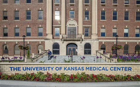 School of Medicine. University of Kansas Medical Center. D