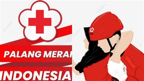 Penginapan murah di pariaman