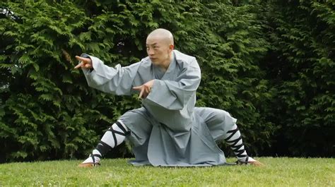 Kung fu shaolin puissance martiale et chi kung. - Guida di rete per la sesta edizione.