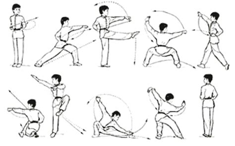 Kung fu temel hareketler