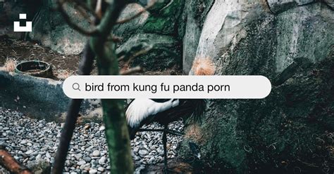 Kunt fu porn. .  ...