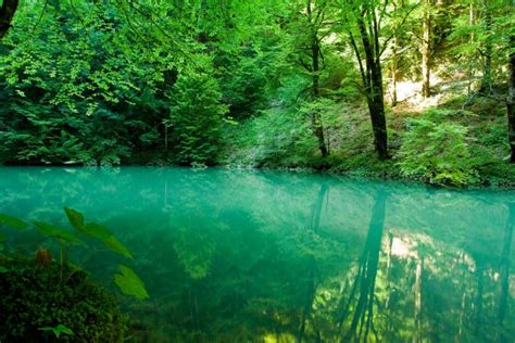 Kupska dolina leptira - hrvatska i goranska posebnost HKM