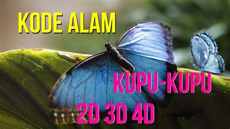Kupu masuk rumah togel 4d. Cara menang main merah.