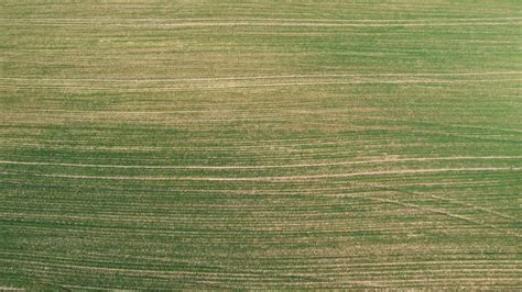 Kuraklık buğday üretimini tehdit ediyor - Son Dakika Haberleri