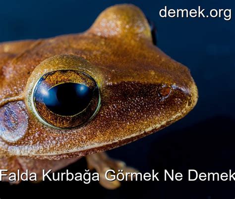 codini.rgarabwor.edu.pl. 