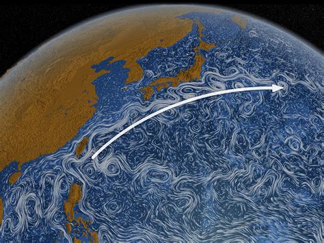 Kuroshio current. The Kuroshio Current flows northeastward along the East China Sea (ECS) shelf break, carrying a large amount of nutrients, and is thus an important source of nutrients for the ECS. The mainstream and transport of the Kuroshio Current are significantly affected by mesoscale eddies. However, the influence of mesoscale eddies on the … 