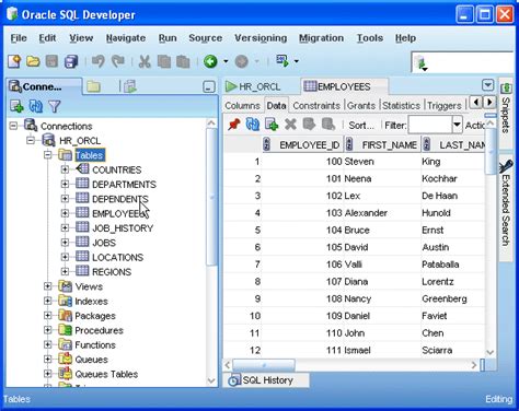 Kursen använder Oracle SQL Developer