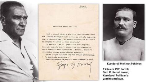 Kurtdereli Halı ve Koltuk Yıkama