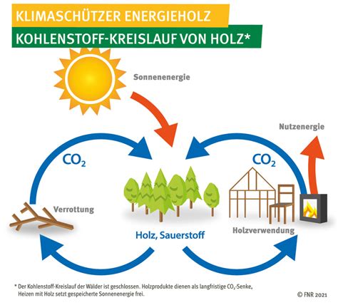 Kurzinformation CO -Emissionen bei der Verbrennung von Holz und Gas