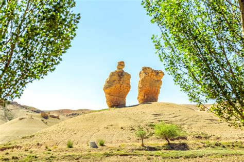 Kusca Halı ve Koltuk Yıkama