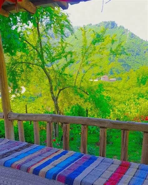 Kuscugaz Halı ve Koltuk Yıkama