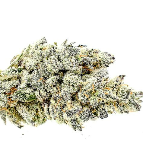 Kush mintz leafly. PKM. The Platinum Kush Mints weed strain is a premium offering from breeder/seed seller In-House Genetics, who crossed Platinum OG Kush with Kush … 