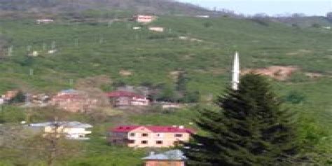 Kuskunlu Halı ve Koltuk Yıkama