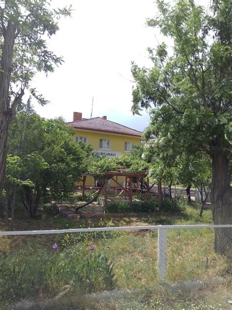 Kussarayi Halı ve Koltuk Yıkama