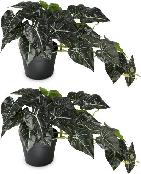 Kutlan Halı ve Koltuk Yıkama