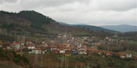 Kutlubeyler Halı ve Koltuk Yıkama