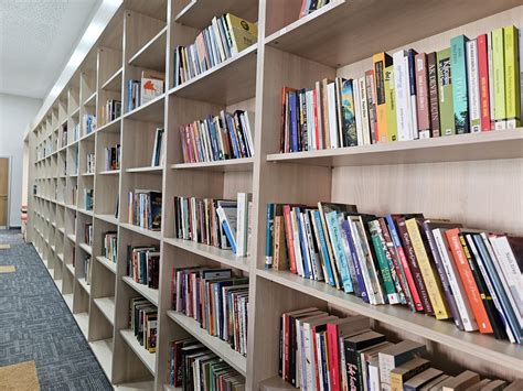 Kutuphane Halı ve Koltuk Yıkama