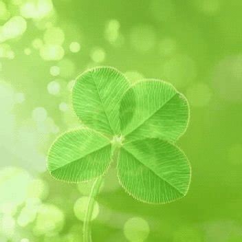 Kuu_Vly Leaked +18 231 Photos