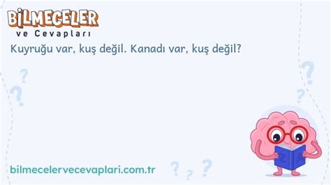 Kuyruğu var at değil, kanadı var kuş değil. Bilmece Sitesi.