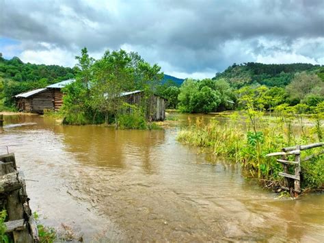 Kuzgolcuk Halı ve Koltuk Yıkama