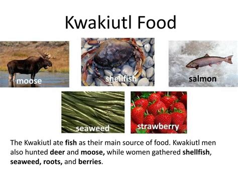 Kwakiutl tribe food. All the people lived near the water and relied heavily on the water for survival.Temperatures were moderate, which allowed the people to fish all year. There was access to the Pacific Ocean for fishing and collecting food like clams and shellfish. Salmon was the most important food. The Kwakiutl tribe was very intelligent people who were able ... 