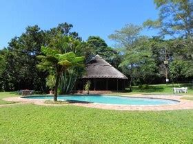 veodersti.rgarabwor.edu.pl. 