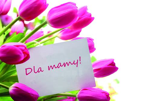 Kwiaty dla mamy – idealny prezent na Dzień Matki. Idealne kwiaty na