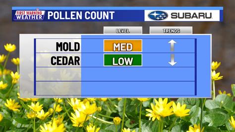 Our highest mold count of the year so far occurred back on January 3 when we saw our highest rain total of the month. This was when a measly 0.08″ inches fell. Tuesday’s rain will be much more ....