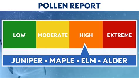 Ky pollen count. During peak season for tree pollen, keep your windows and doors closed, especially on windy days. Avoid outdoor activities in the early morning, and be sure to shower and change clothes after ... 