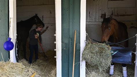 Ky. racehorse hurt in barn fire after running loose on I-69